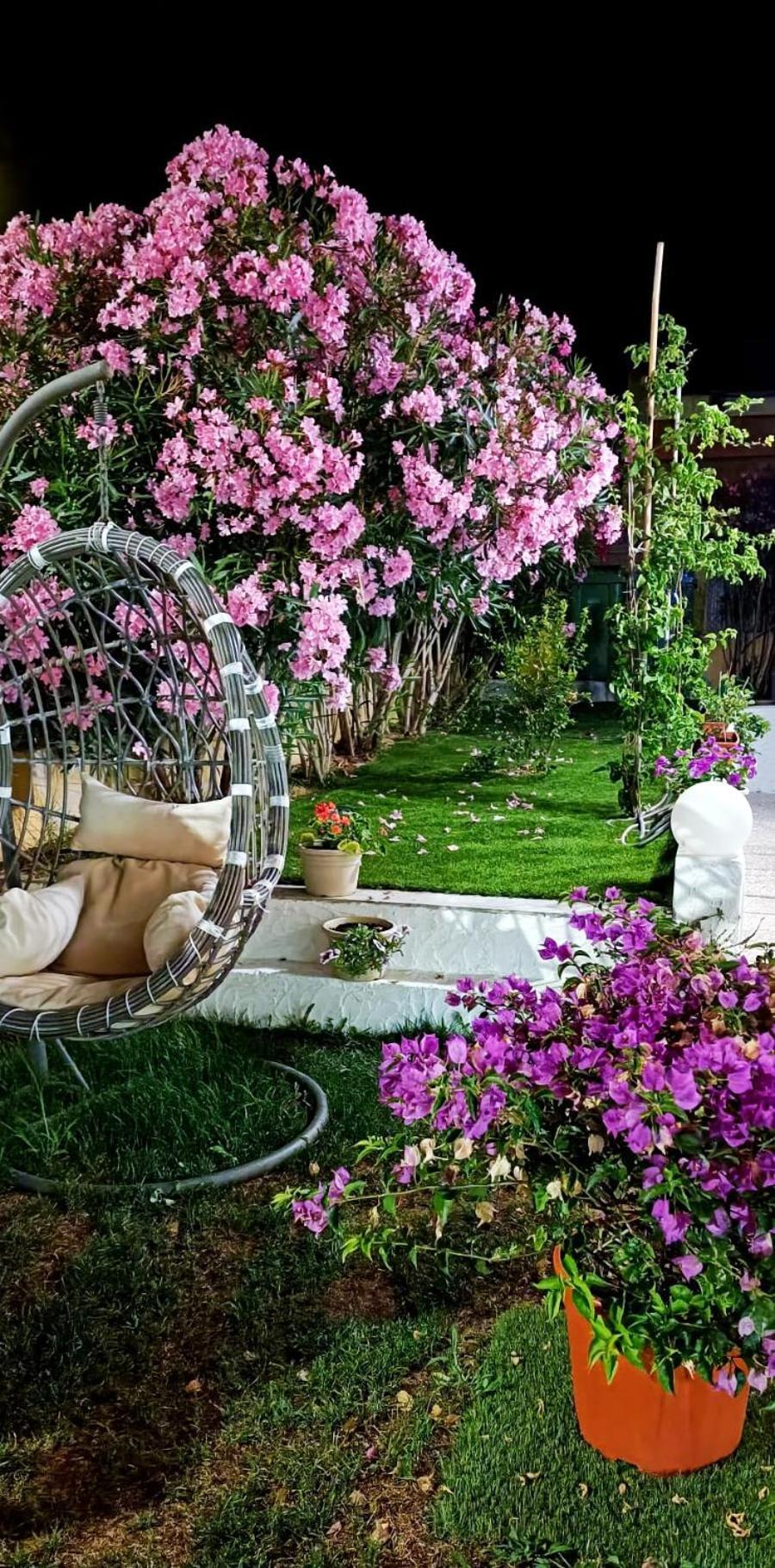 La Smeralda - Boutique Rooms And Breakfast Golfo Aranci Εξωτερικό φωτογραφία